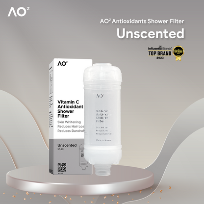 Antioxidant Shower Filter