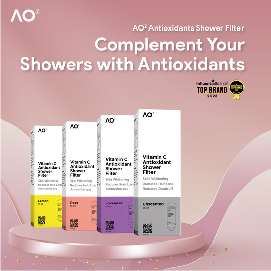 Antioxidant Shower Filter